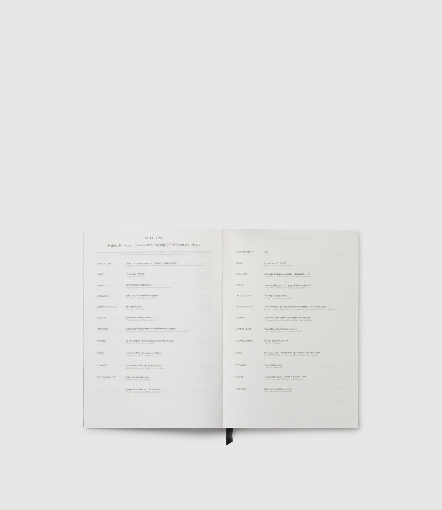 A5 Diary 2025